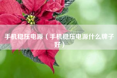 手机稳压电源（手机稳压电源什么牌子好）