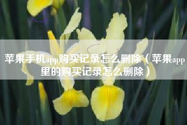 苹果手机app购买记录怎么删除（苹果app里的购买记录怎么删除）