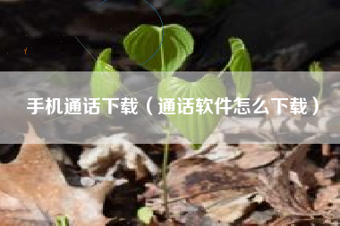 手机通话下载（通话软件怎么下载）