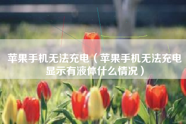 苹果手机无法充电（苹果手机无法充电显示有液体什么情况）