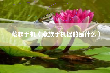 藏族手机（藏族手机摇的是什么）