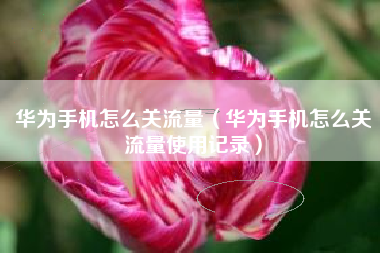 华为手机怎么关流量（华为手机怎么关流量使用记录）