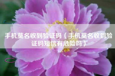 手机莫名收到验证码（手机莫名收到验证码短信有危险吗）