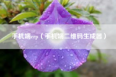 手机端erp（手机端二维码生成器）