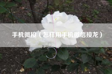 手机微接（怎样用手机微信接龙）