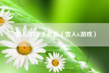雪人游戏 手机版（雪人fc游戏）