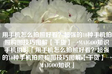 用手机怎么拍照好看？超强的10种手机拍照构图技巧图解【干货】→MAIGOO知识手机摄影「用手机怎么拍照好看？超强的10种手机拍照构图技巧图解【干货】→MAIGOO知识」