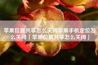 苹果位置共享怎么关闭苹果手机定位怎么关闭「苹果位置共享怎么关闭」
