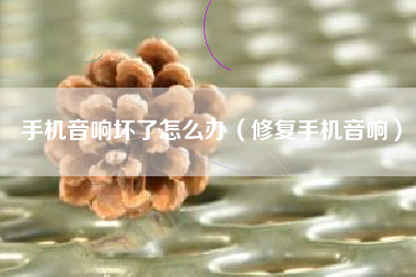 手机音响坏了怎么办（修复手机音响）