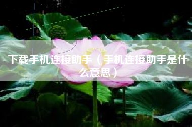 下载手机连接助手（手机连接助手是什么意思）