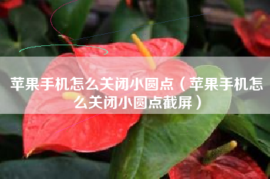 苹果手机怎么关闭小圆点（苹果手机怎么关闭小圆点截屏）
