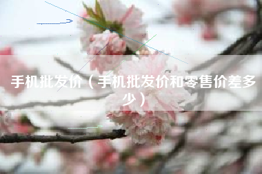 手机批发价（手机批发价和零售价差多少）