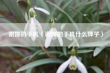 谢娜的手机（谢娜的手机什么牌子）