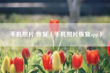 手机照片 恢复（手机照片恢复app）