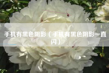 手机有黑色阴影（手机有黑色阴影一直闪）