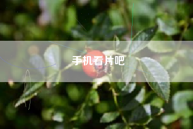 手机看片吧