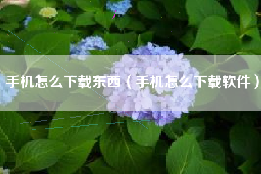手机怎么下载东西（手机怎么下载软件）