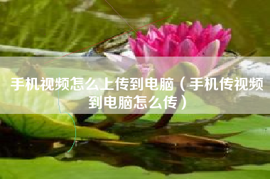 手机视频怎么上传到电脑（手机传视频到电脑怎么传）