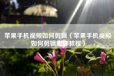 苹果手机视频如何剪辑（苹果手机视频如何剪辑制作教程）