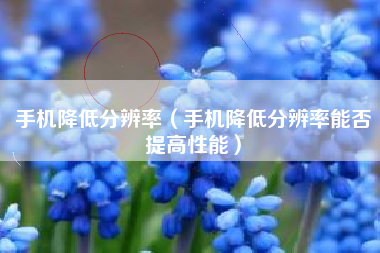 手机降低分辨率（手机降低分辨率能否提高性能）