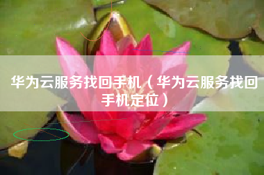华为云服务找回手机（华为云服务找回手机定位）