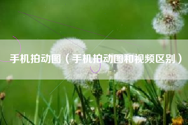 手机拍动图（手机拍动图和视频区别）