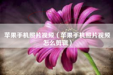 苹果手机照片视频（苹果手机照片视频怎么剪辑）