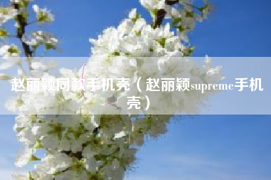 赵丽颖同款手机壳（赵丽颖supreme手机壳）