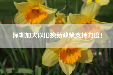 深圳加大以旧换新政策支持力度！