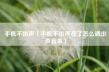 手机不出声（手机不出声音了怎么调出声音来）