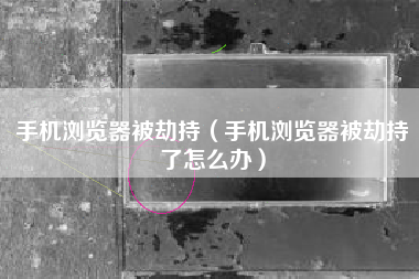 手机浏览器被劫持（手机浏览器被劫持了怎么办）