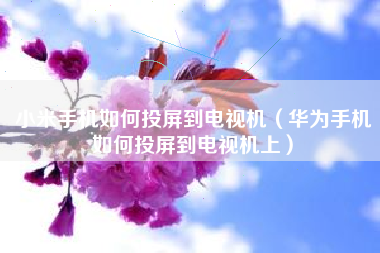 小米手机如何投屏到电视机（华为手机如何投屏到电视机上）
