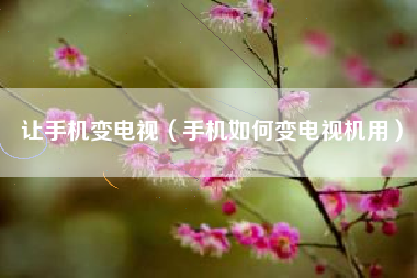 让手机变电视（手机如何变电视机用）