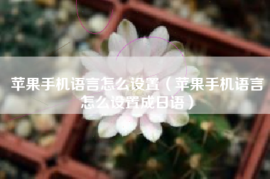 苹果手机语言怎么设置（苹果手机语言怎么设置成日语）