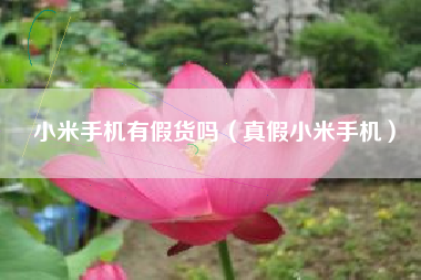 小米手机有假货吗（真假小米手机）