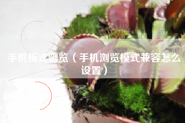 手机模式浏览（手机浏览模式兼容怎么设置）