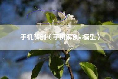 手机解剖（手机解剖ai模型）