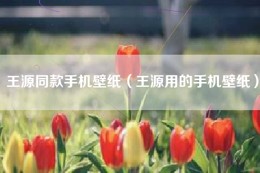 王源同款手机壁纸（王源用的手机壁纸）