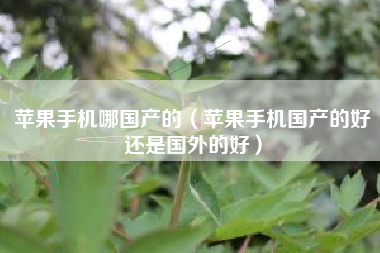 苹果手机哪国产的（苹果手机国产的好还是国外的好）