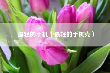 最轻的手机（最轻的手机壳）