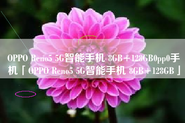 OPPO Reno5 5G智能手机 8GB+128GB0pp0手机「OPPO Reno5 5G智能手机 8GB+128GB」