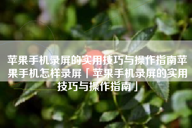 苹果手机录屏的实用技巧与操作指南苹果手机怎样录屏「苹果手机录屏的实用技巧与操作指南」