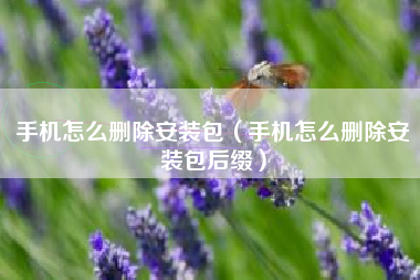 手机怎么删除安装包（手机怎么删除安装包后缀）