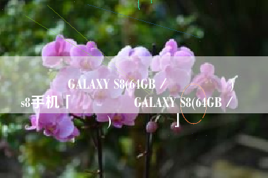 ����GALAXY S8(64GB/ȫ��ͨ)����s8手机「����GALAXY S8(64GB/ȫ��ͨ)����」 ����GALAXY S8(64GB/ȫ��ͨ)����s8手机「����GALAXY S8(64GB/ȫ��ͨ)����」