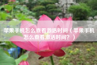 苹果手机怎么查看激活时间（苹果手机怎么查看激活时间？）