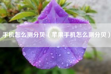 手机怎么测分贝（苹果手机怎么测分贝）