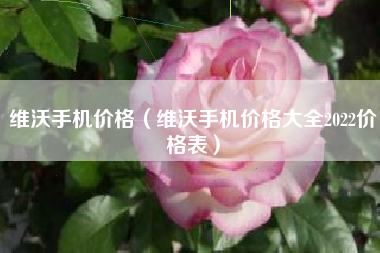维沃手机价格（维沃手机价格大全2022价格表）