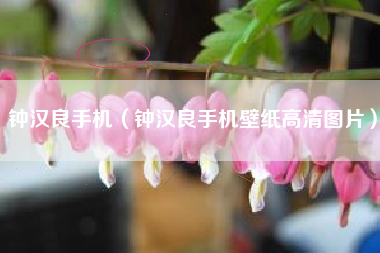 钟汉良手机（钟汉良手机壁纸高清图片）