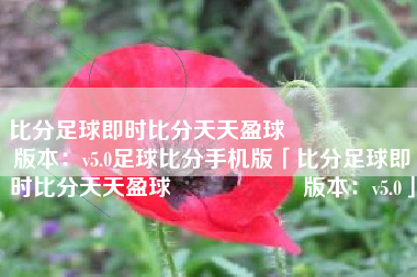 比分足球即时比分天天盈球                    版本：v5.0足球比分手机版「比分足球即时比分天天盈球                    版本：v5.0」