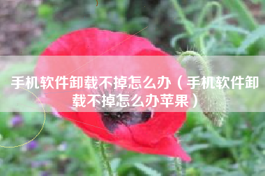 手机软件卸载不掉怎么办（手机软件卸载不掉怎么办苹果）